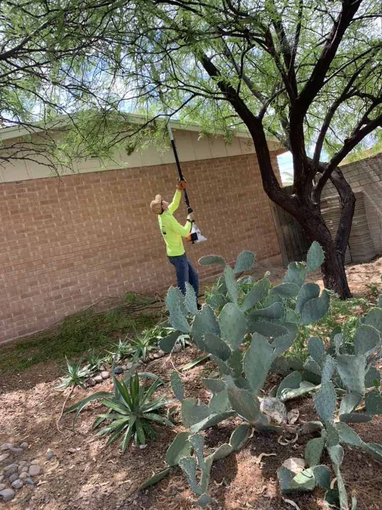 Local lawn mowing service in Tucson, AZ - Samson’s Grounds Maintenance