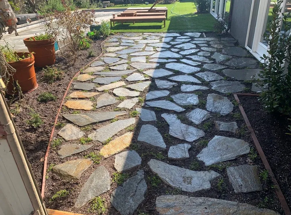 Expert yard maintenance in Los Angeles, CA by Samuel and Son's Landscaping