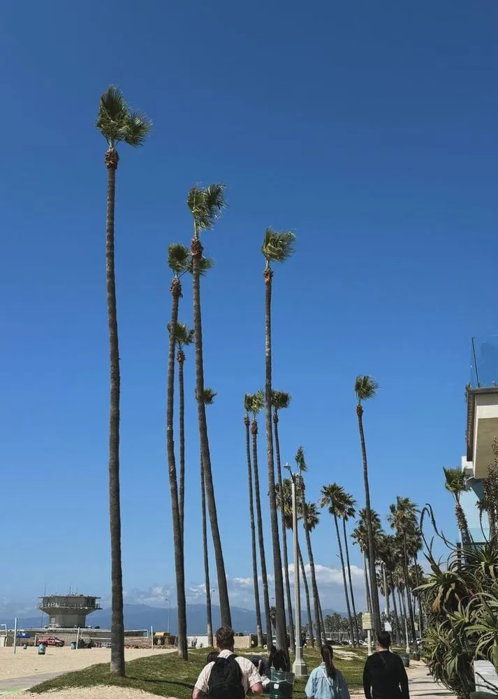 Custom landscape installation experts serving Los Angeles, CA - Samuel and Son's Landscaping