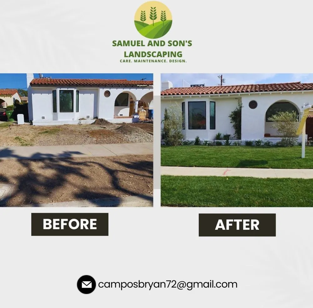 Reliable yard cleanup service experts serving Los Angeles, CA - Samuel and Son's Landscaping