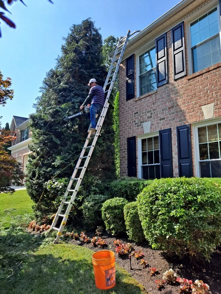 Reliable outdoor landscaping experts serving Cockeysville, MD - Samuel Arias the general contractor