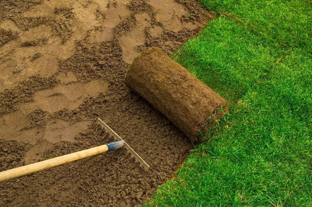 Trusted outdoor landscaping for outdoor upgrades across Whittier, CA - Samuel Artificial Turf Installations