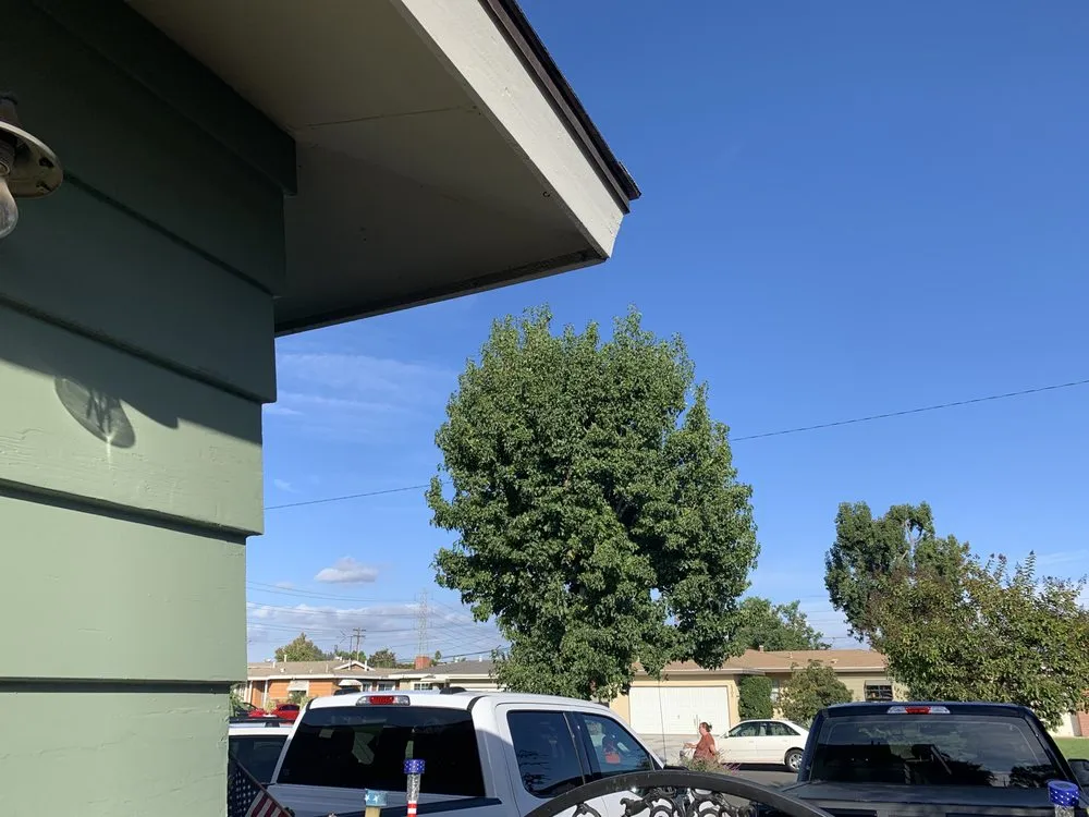 Affordable lawn care service in Long Beach, CA by Samuel Ruiz Landscaping and Tree Service