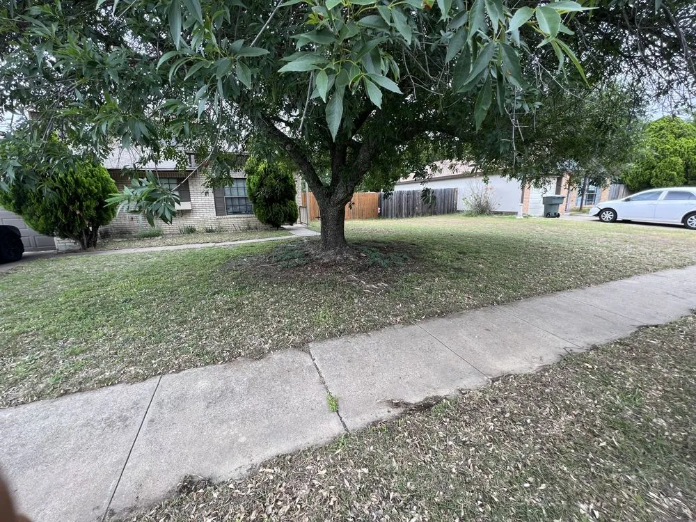 Top-rated landscaping services near you across Killeen, TX - Samuel Services