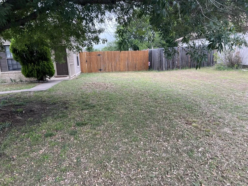 Expert landscaping services for year-round maintenance in Killeen, TX by Samuel Services