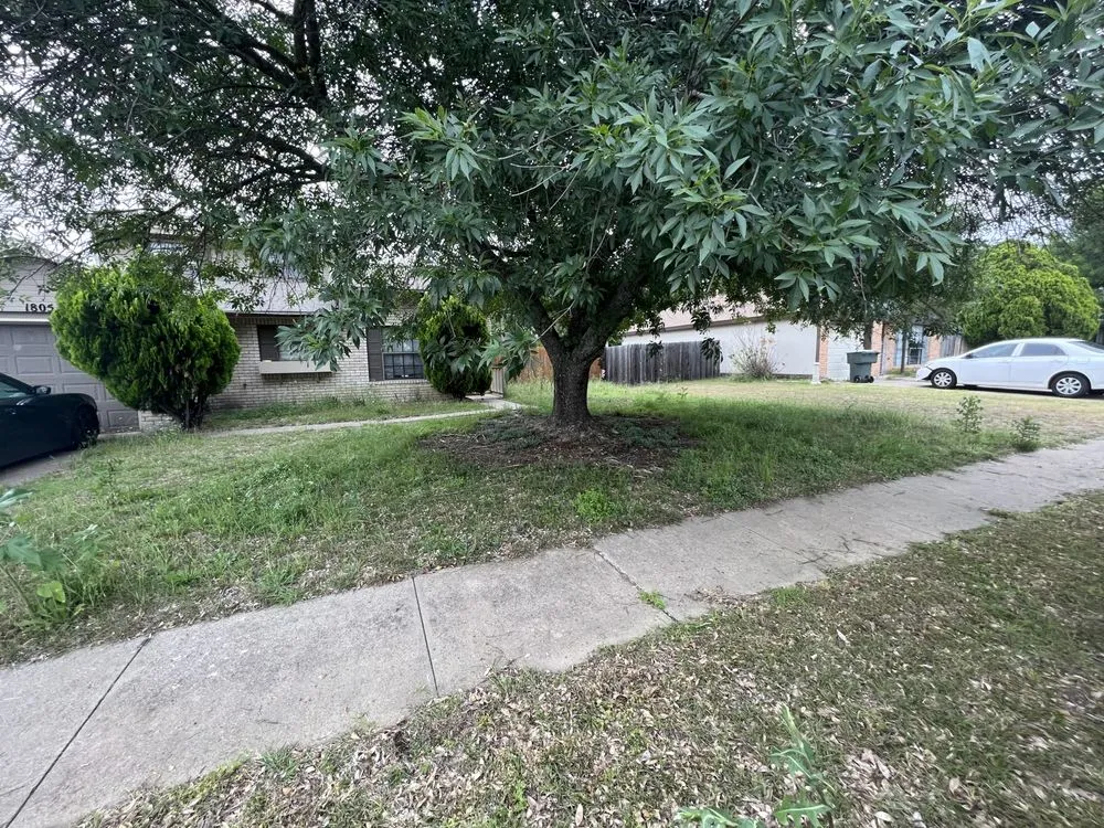 Affordable lawn mowing service in Killeen, TX by Samuel Services