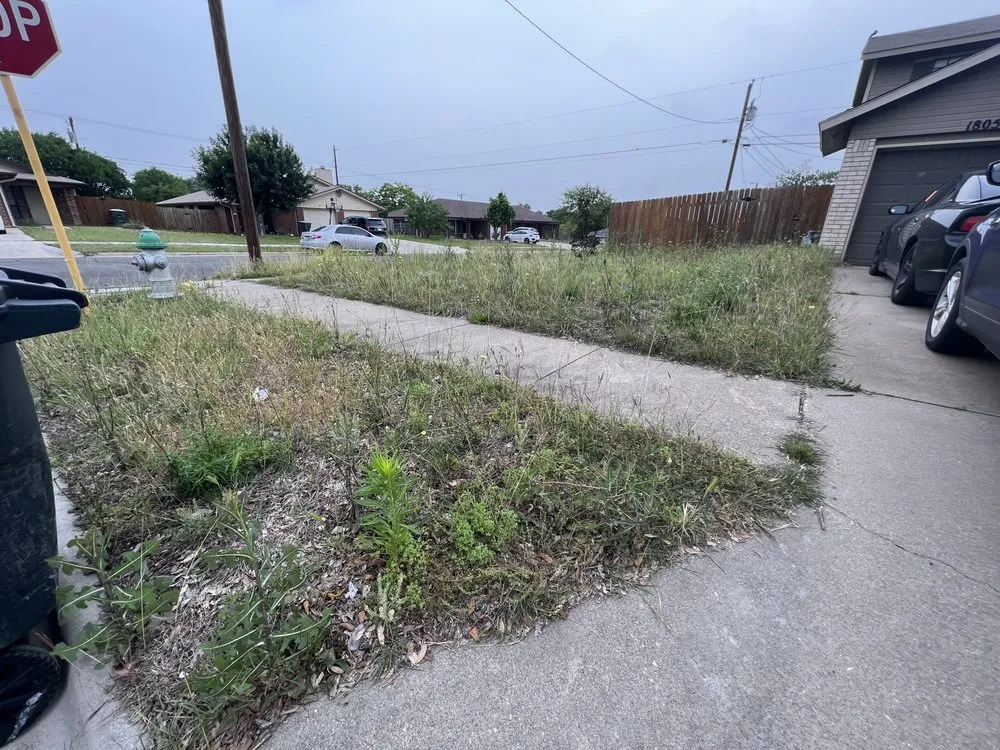 Local landscape installation in Killeen, TX by Samuel Services