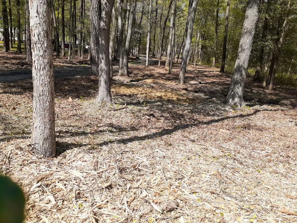 Local yard maintenance experts serving Richmond, VA - Samuel Sousa Landscape & Tree Service