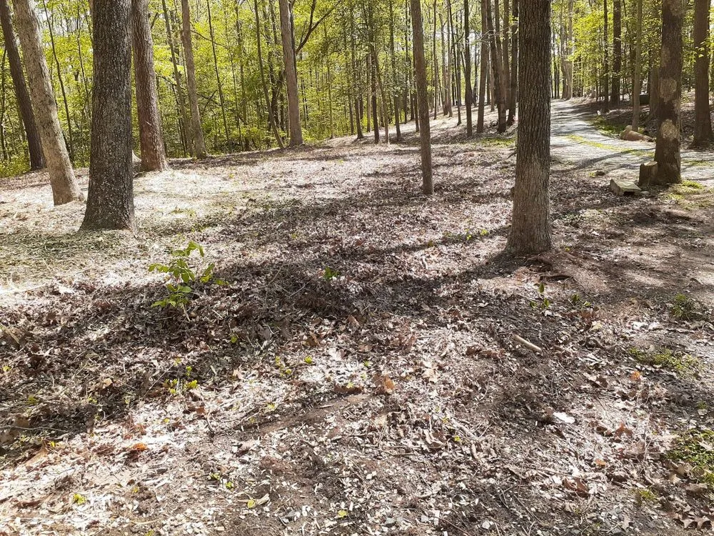 Trusted landscape installation for outdoor upgrades in Richmond, VA by Samuel Sousa Landscape & Tree Service