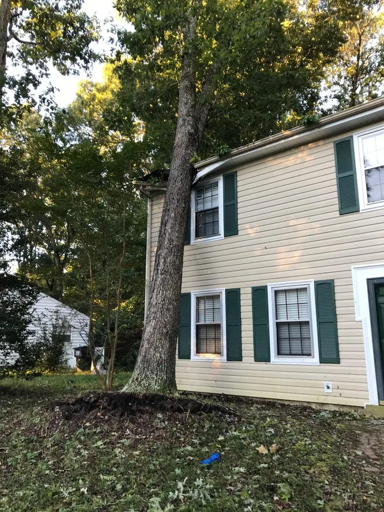 Custom landscaping services in Richmond, VA - Samuel Sousa Landscape & Tree Service