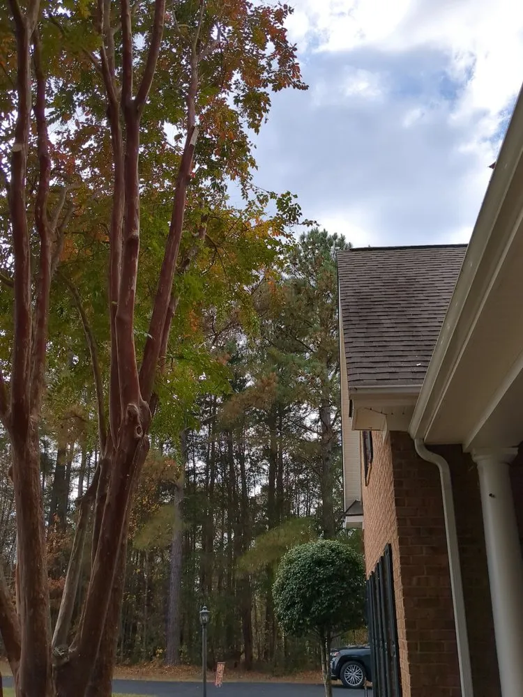 Top-rated landscape design in Richmond, VA - Samuel Sousa Landscape & Tree Service