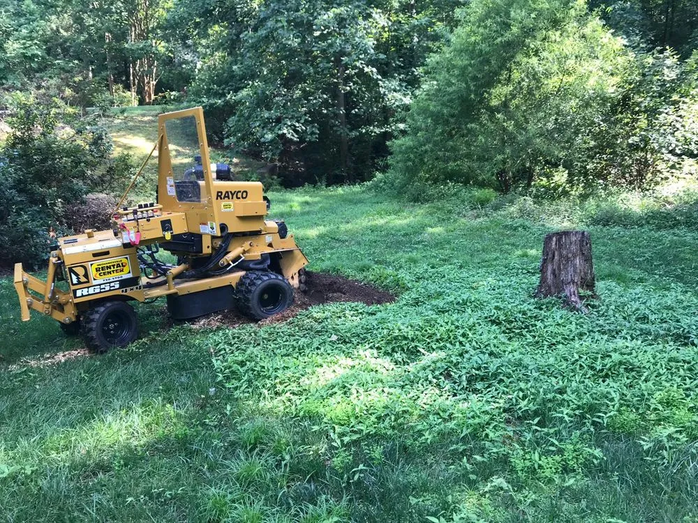 Custom yard maintenance near you across Richmond, VA - Samuel Sousa Landscape & Tree Service