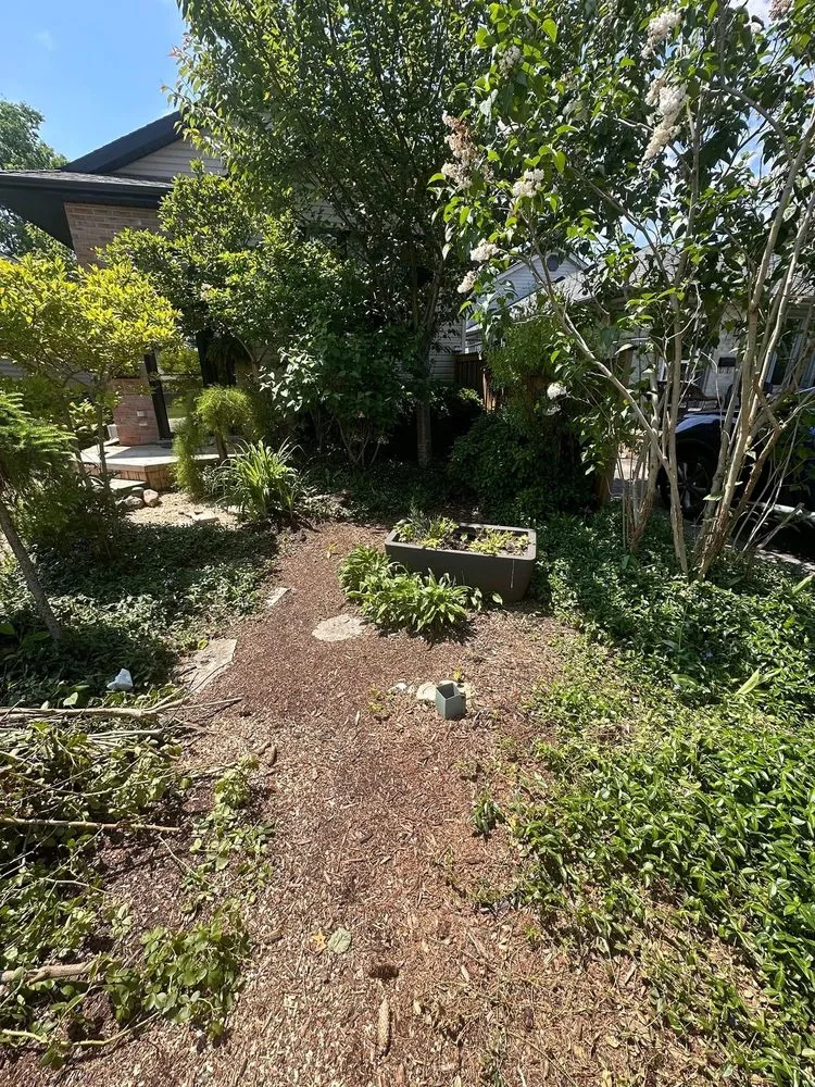 Local lawn care service experts serving Columbia, SC - Samuel’s Landscaping & Construction