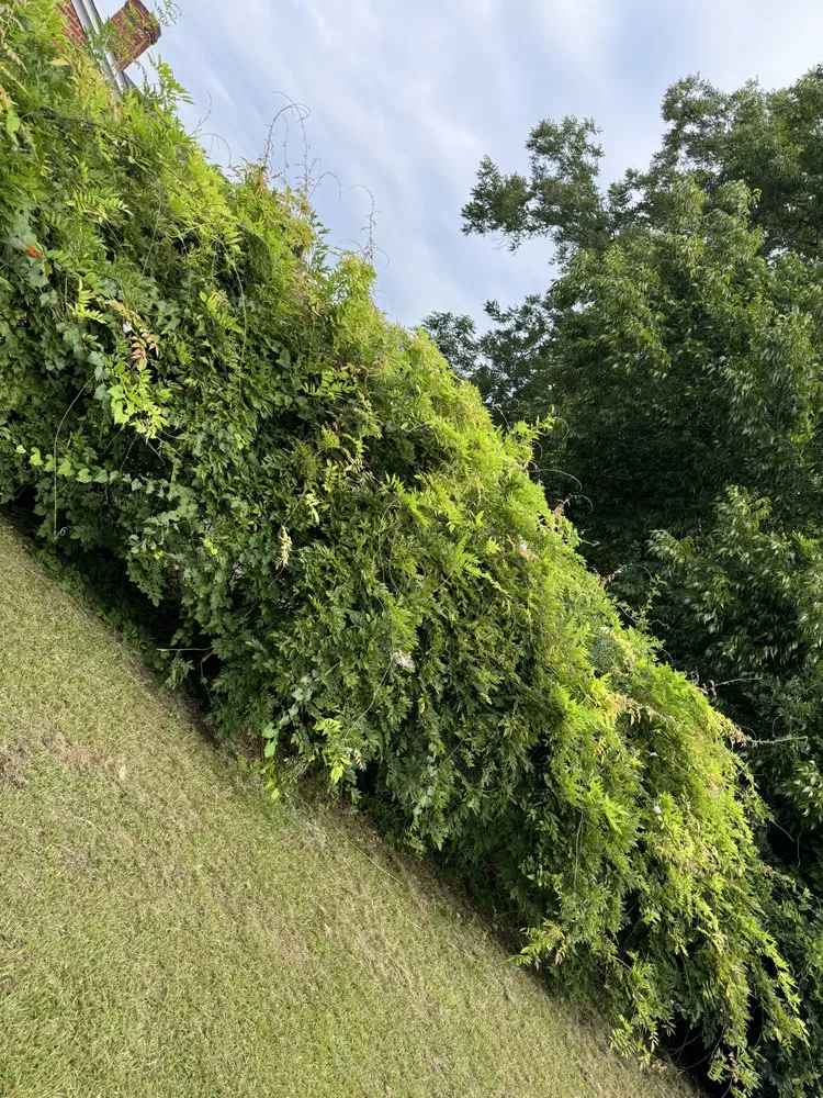 Top-rated garden landscaping for year-round maintenance in Columbia, SC by Samuel’s Landscaping & Construction