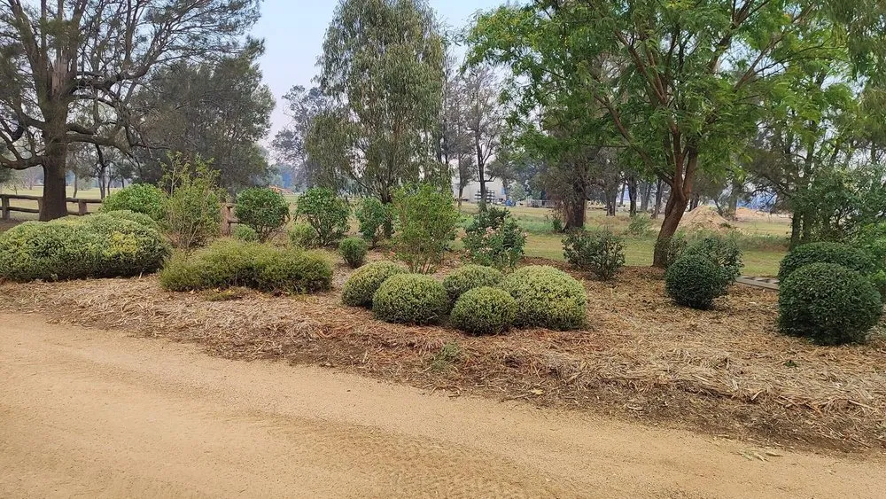 Professional lawn care service experts serving Columbia, SC - Samuel’s Landscaping & Construction