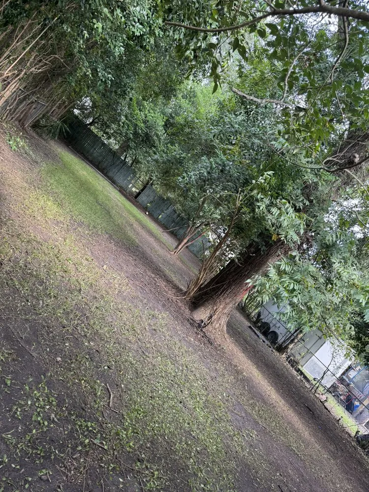 Trusted lawn care service in Columbia, SC by Samuel’s Landscaping & Construction