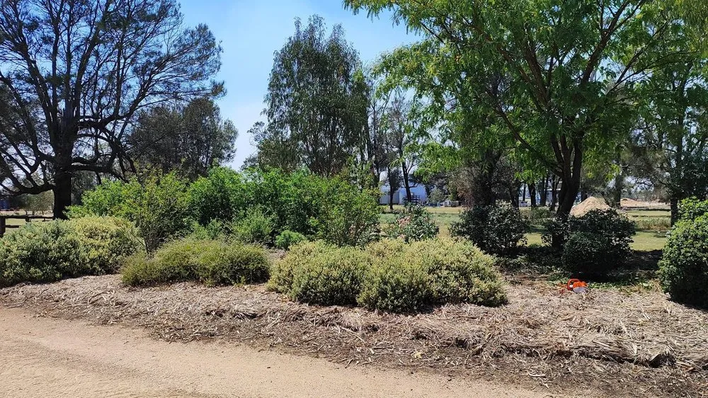 Top-rated lawn mowing service for outdoor upgrades across Columbia, SC - Samuel’s Landscaping & Construction