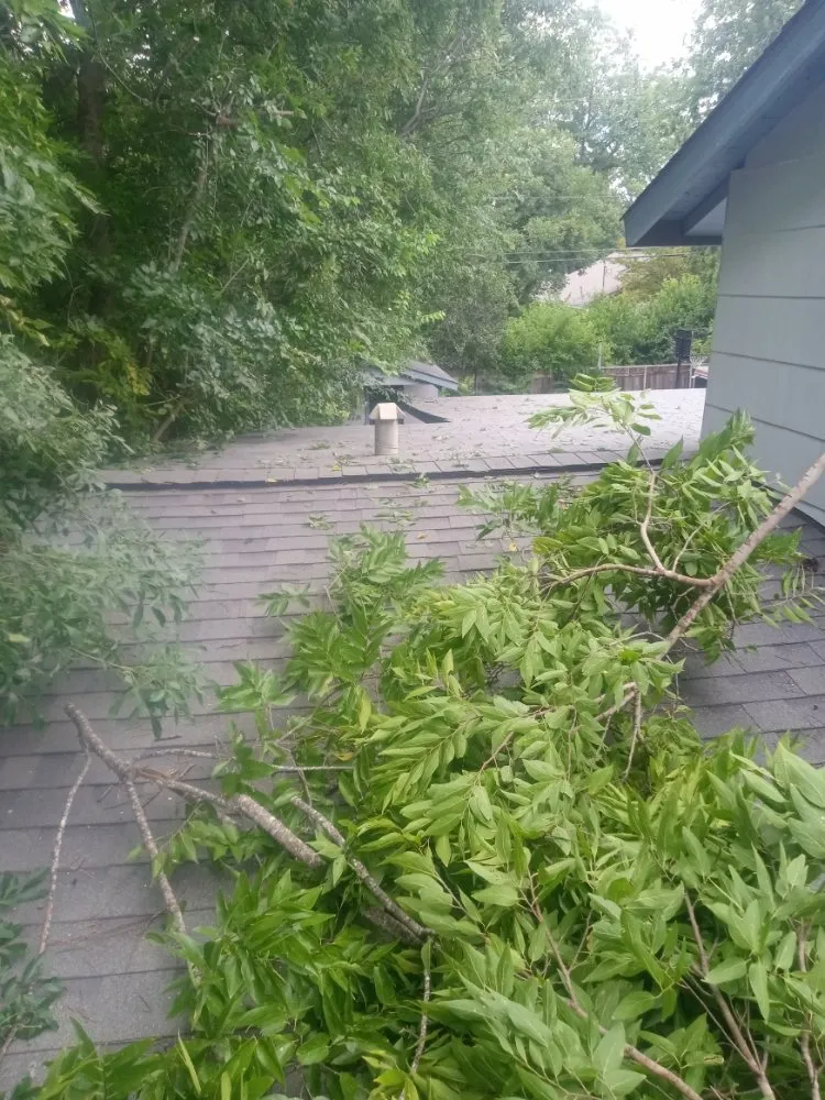 Expert landscape design in San Antonio, TX by Samuels Lawn Maintenance