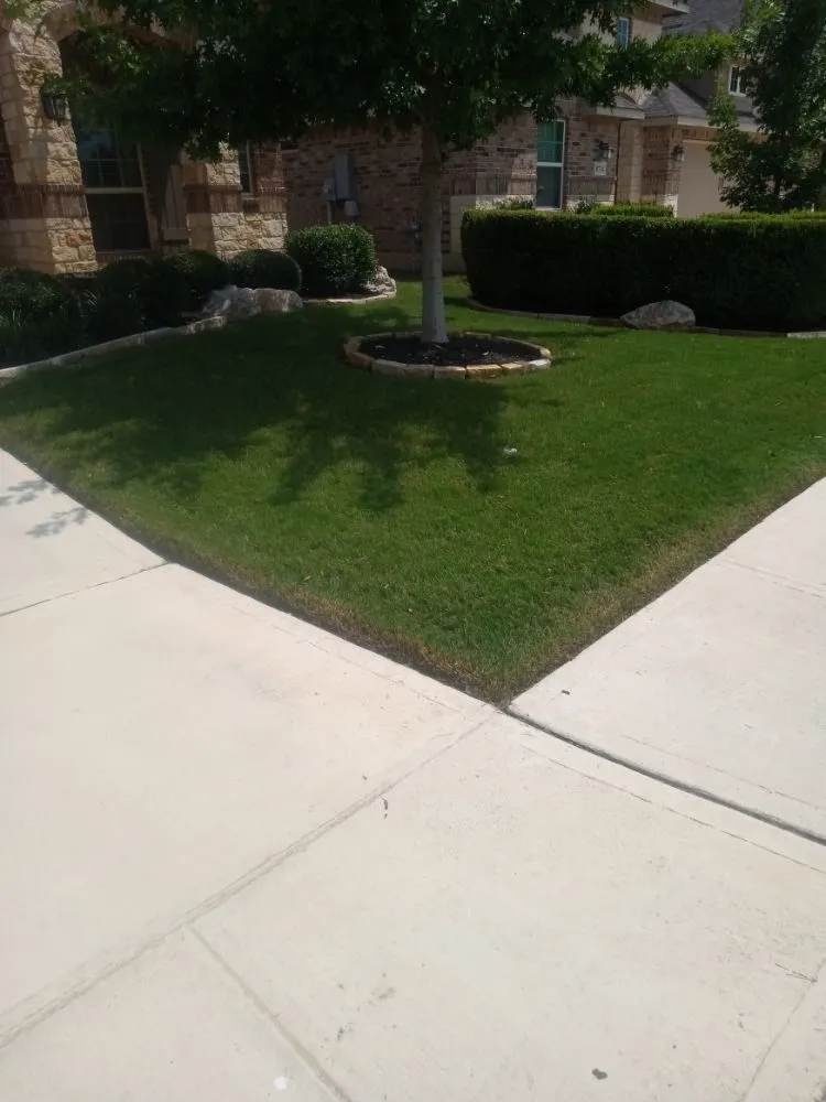 Reliable yard cleanup service for year-round maintenance across San Antonio, TX - Samuels Lawn Maintenance