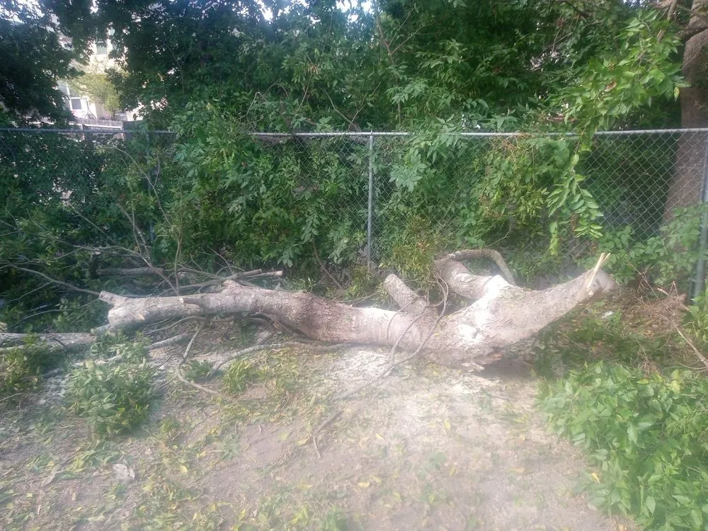 Local landscaping services for outdoor upgrades across San Antonio, TX - Samuels Lawn Maintenance