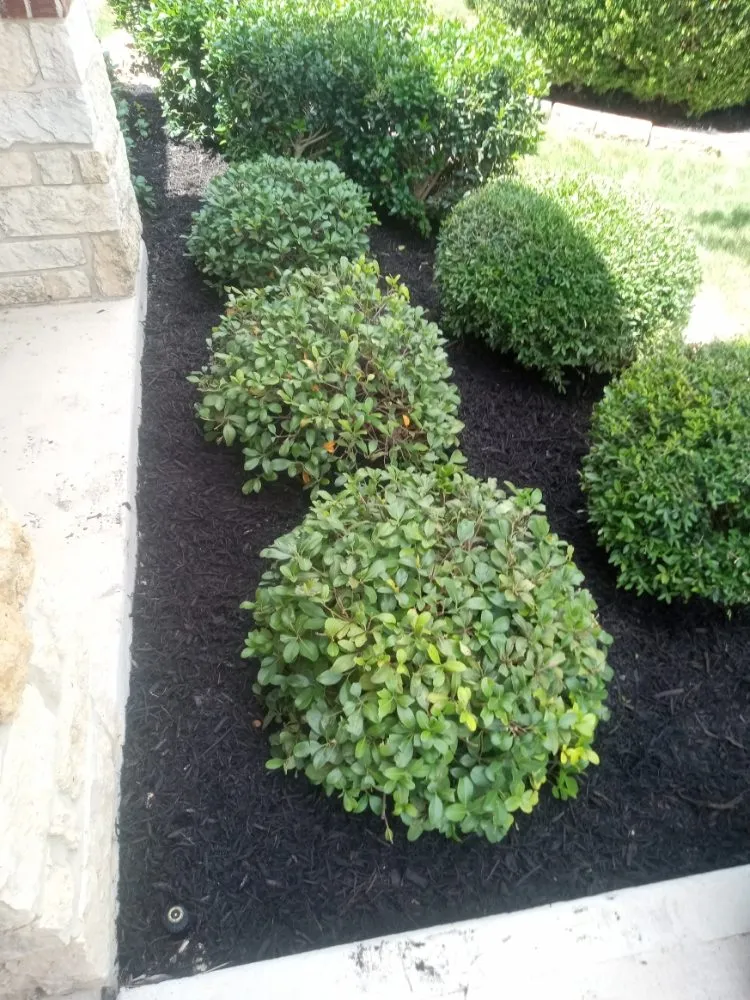 Professional landscaping services in San Antonio, TX - Samuels Lawn Maintenance