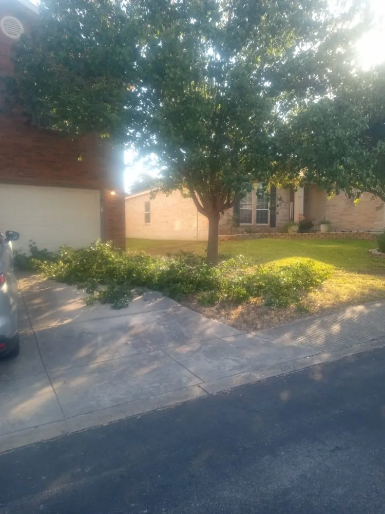 Expert lawn care service experts serving San Antonio, TX - Samuels Lawn Maintenance