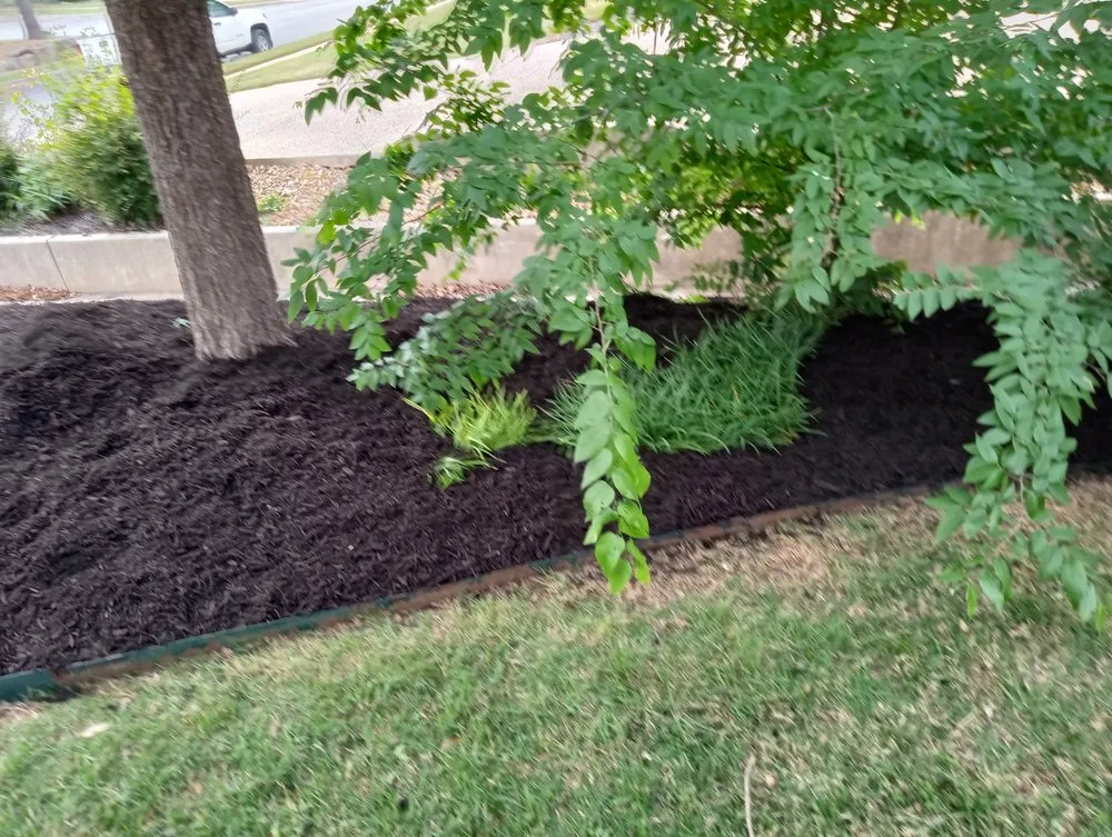 Trusted landscaping services for homes across San Antonio, TX - Samuels Lawn Maintenance