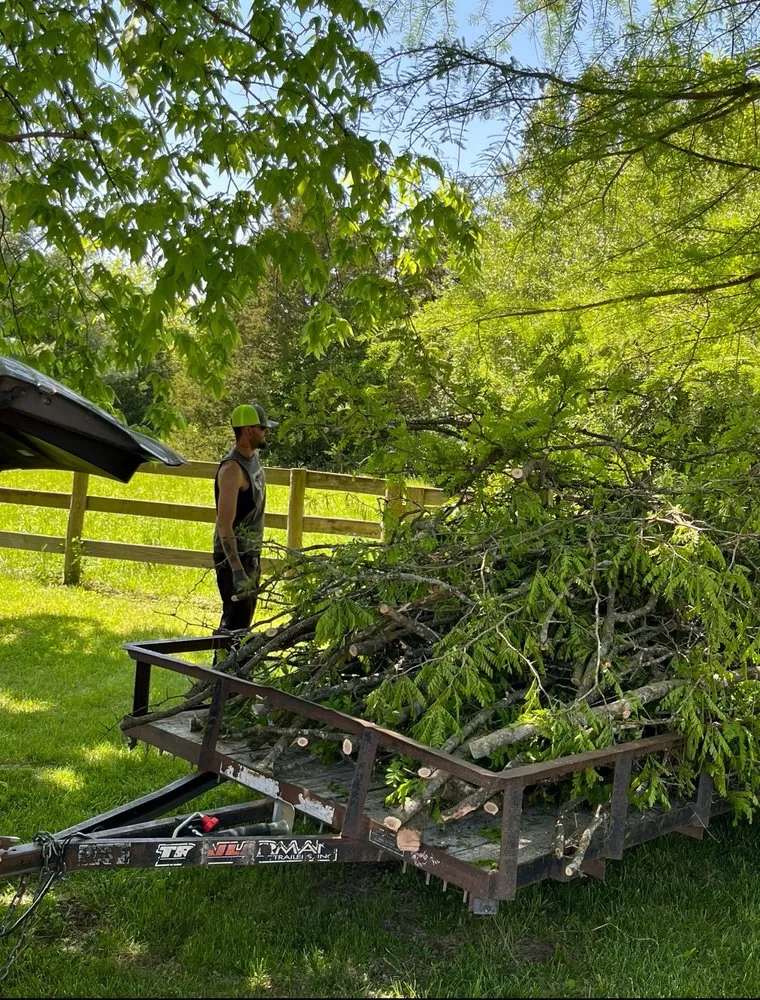 Trusted residential landscaping in Holts Summit, MO - Samuels Tree Care & Lawn Services