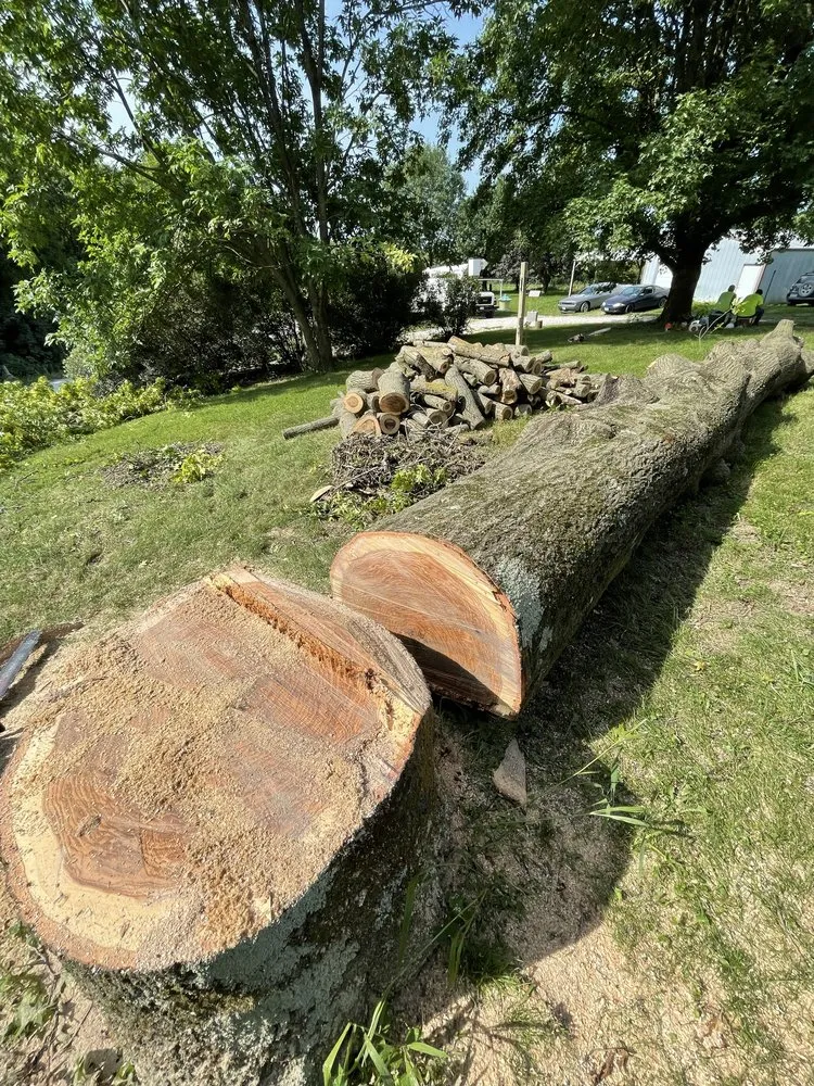 Expert lawn care service in Holts Summit, MO - Samuels Tree Care & Lawn Services