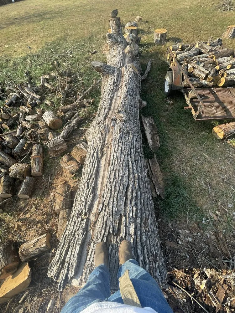 Expert garden landscaping experts serving Holts Summit, MO - Samuels Tree Care & Lawn Services