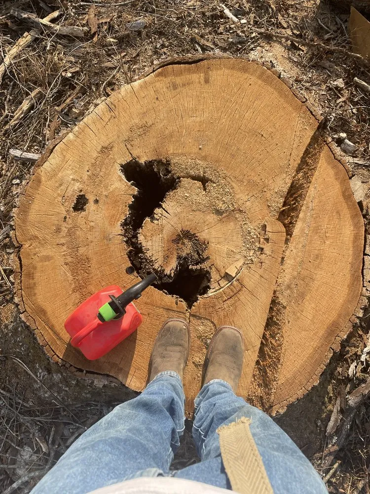 Custom yard maintenance experts serving Holts Summit, MO - Samuels Tree Care & Lawn Services