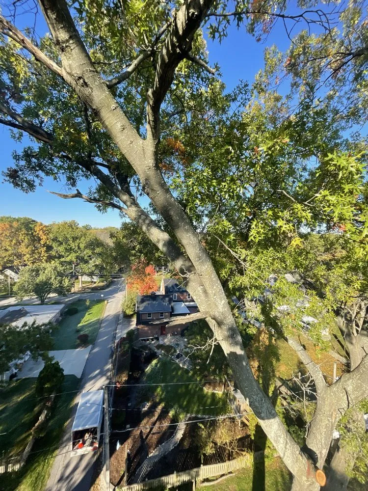 Local landscaping services for homes in Holts Summit, MO by Samuels Tree Care & Lawn Services