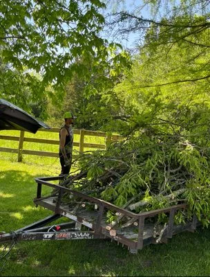 Samuels Tree Care & Lawn Services