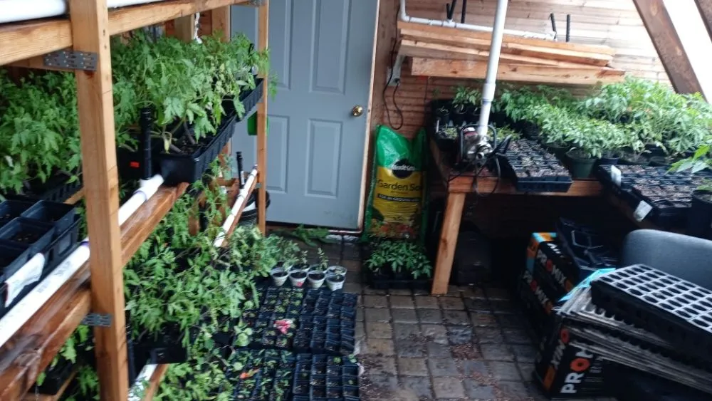 Reliable lawn mowing service for residential properties across Grand Forks, ND - Samuelson Gardens Lawn and Snow Care