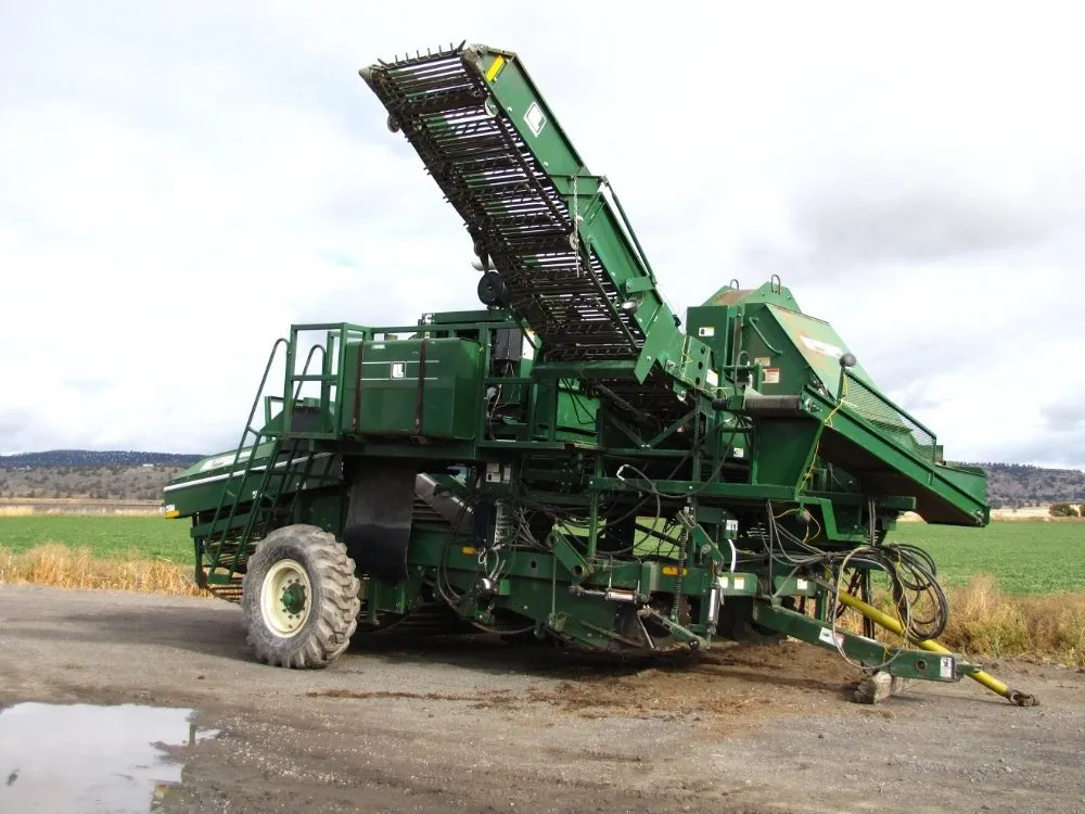 Local yard cleanup service experts serving Grand Forks, ND - Samuelson Gardens Lawn and Snow Care