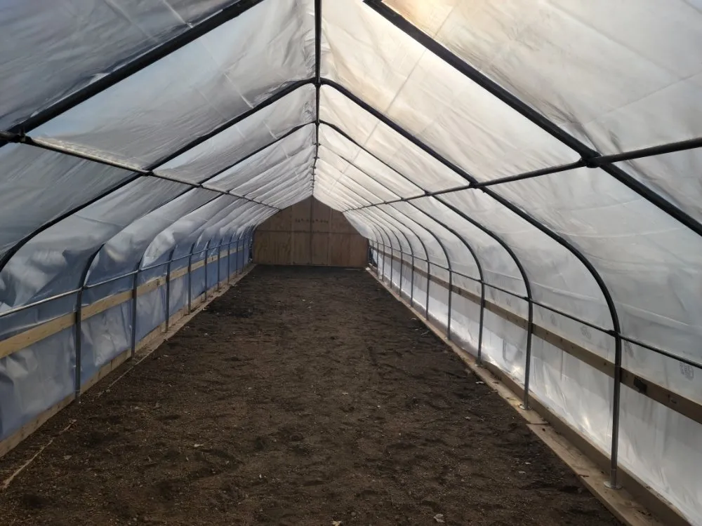 Expert lawn mowing service with custom design in Grand Forks, ND by Samuelson Gardens Lawn and Snow Care