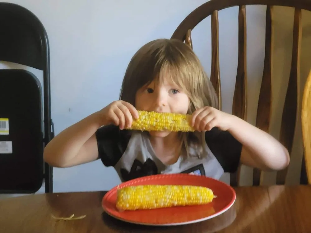 Top-rated garden landscaping in Grand Forks, ND by Samuelson Gardens Lawn and Snow Care