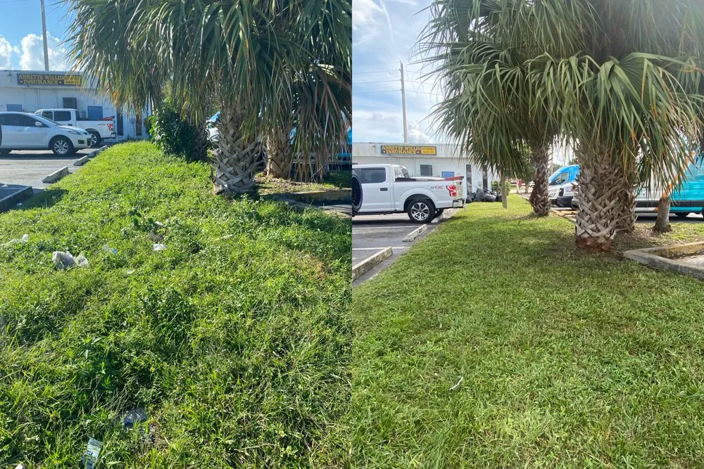 Reliable landscape installation in Miami Gardens, FL - Samurai Landscaping