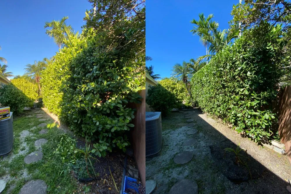 Reliable lawn care service in Miami Gardens, FL by Samurai Landscaping