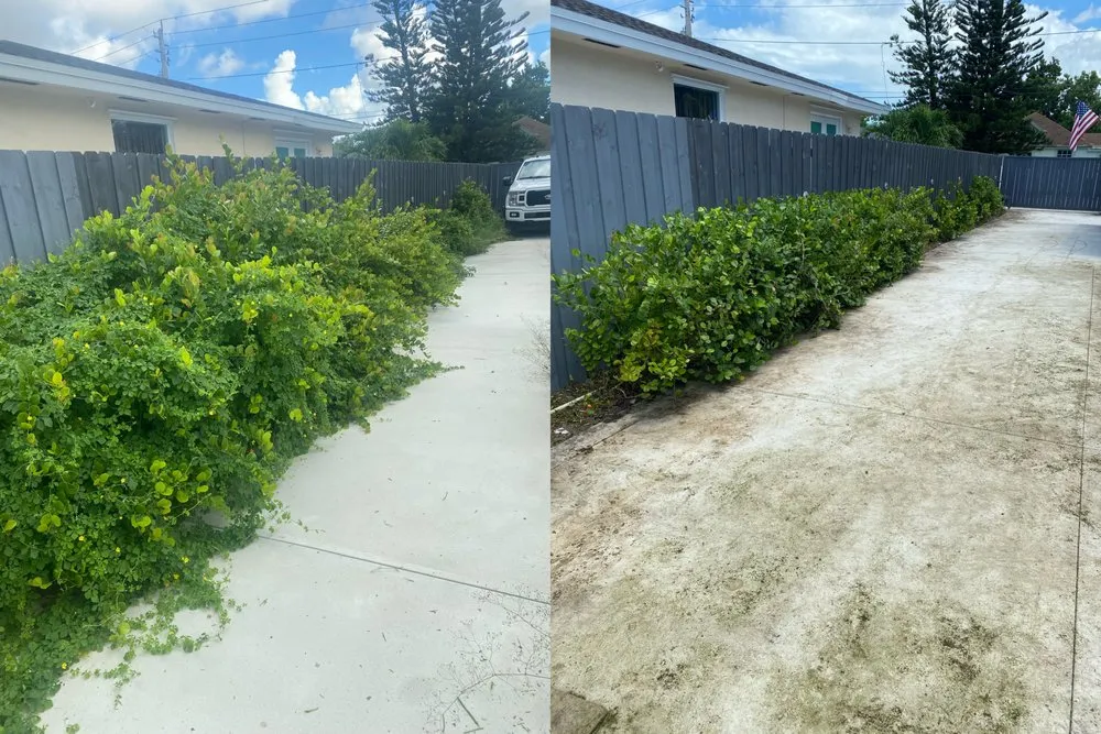 Custom garden landscaping in Miami Gardens, FL - Samurai Landscaping