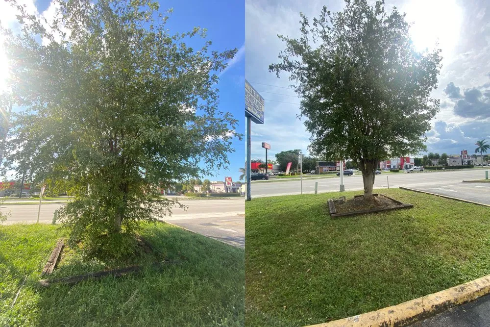 Professional landscape design near you across Miami Gardens, FL - Samurai Landscaping