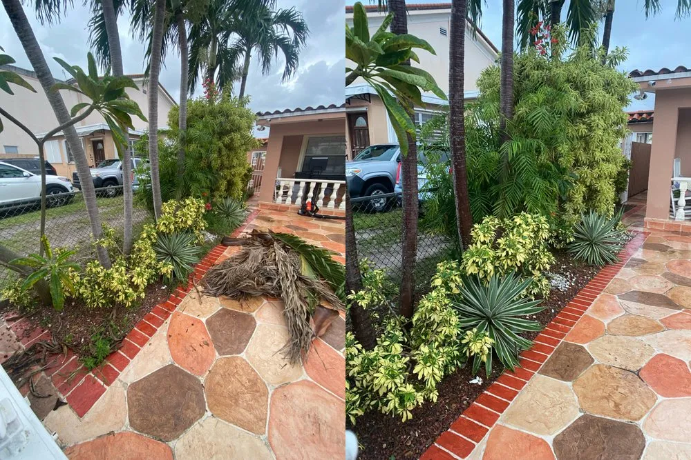 Reliable residential landscaping for year-round maintenance across Miami Gardens, FL - Samurai Landscaping