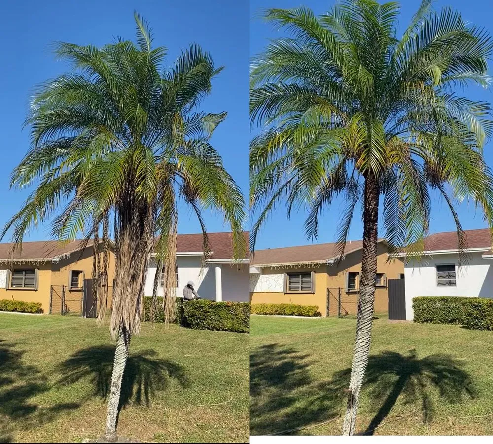 Expert outdoor landscaping in Miami Gardens, FL by Samurai Landscaping