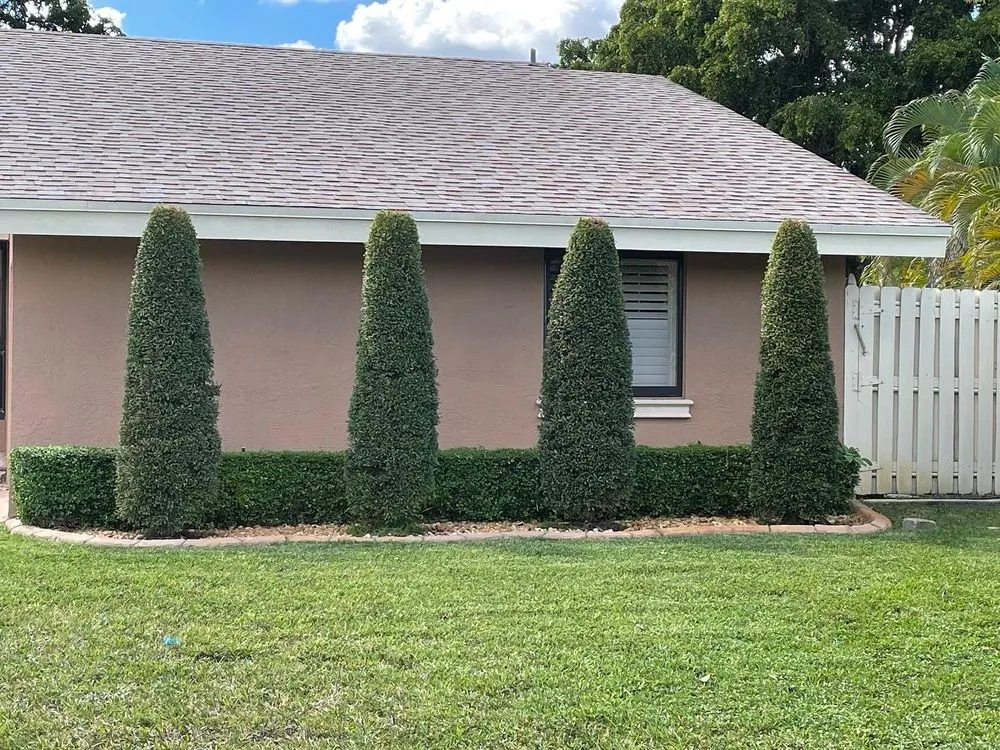 Reliable garden landscaping experts serving Pompano Beach, FL - Samy Ramos Landscaping