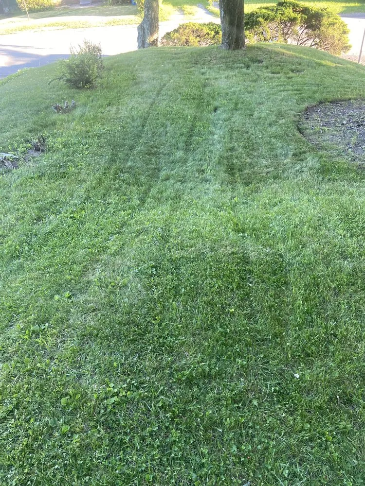 Local landscaping services for year-round maintenance across Pittsburgh, PA - San & Lawn