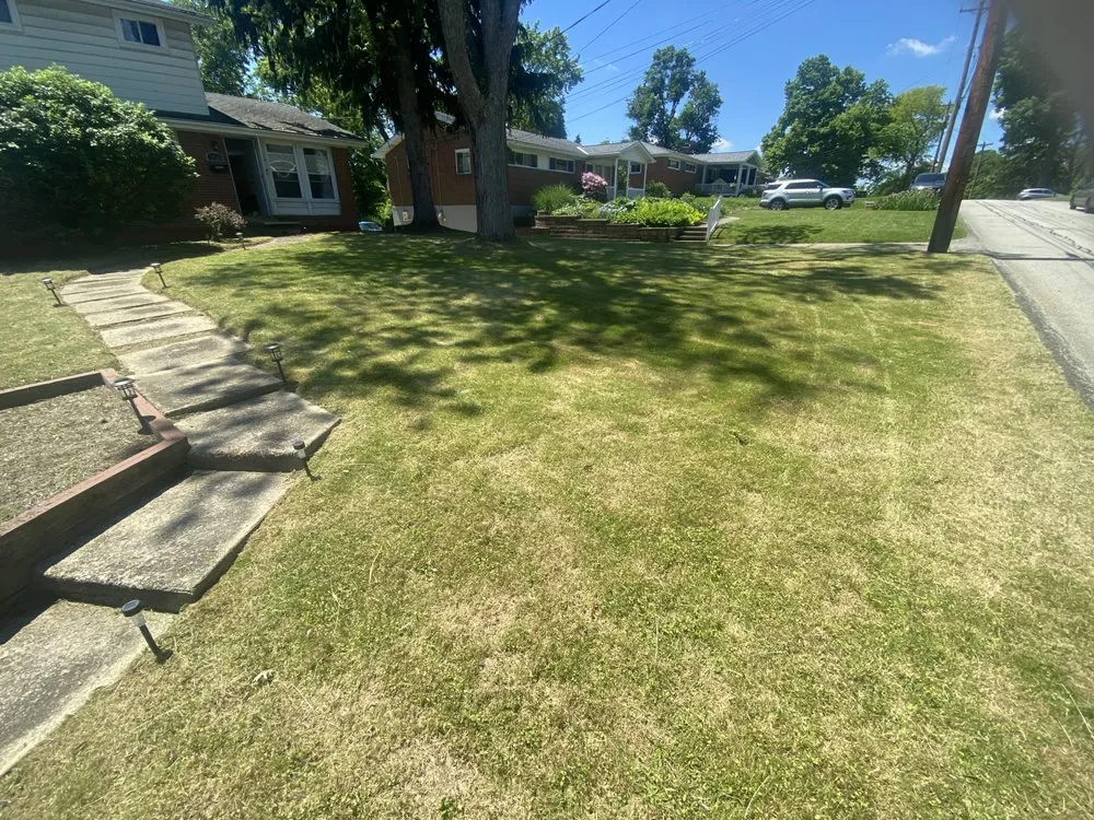 Custom lawn care service near you across Pittsburgh, PA - San & Lawn