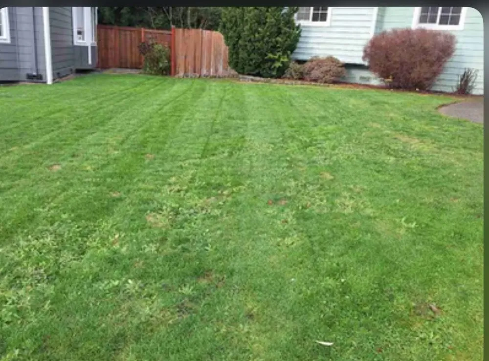Trusted yard maintenance in Pittsburgh, PA - San & Lawn