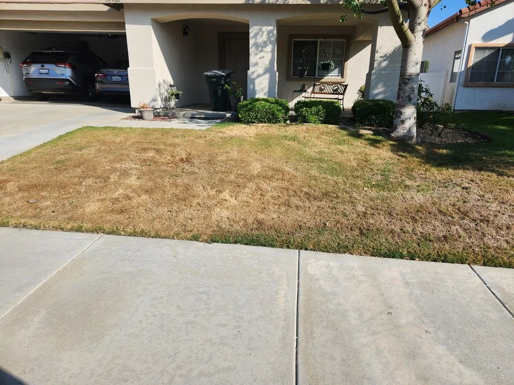 Professional outdoor landscaping in Torrance, CA - San Agustin Landscape