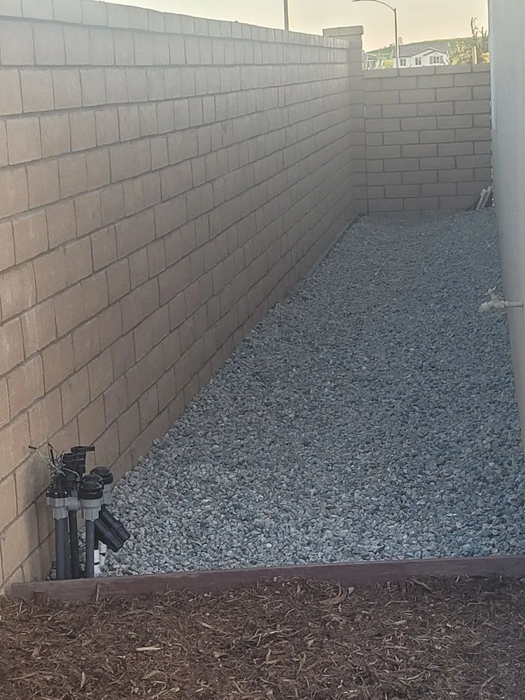 Trusted yard cleanup service in Torrance, CA - San Agustin Landscape