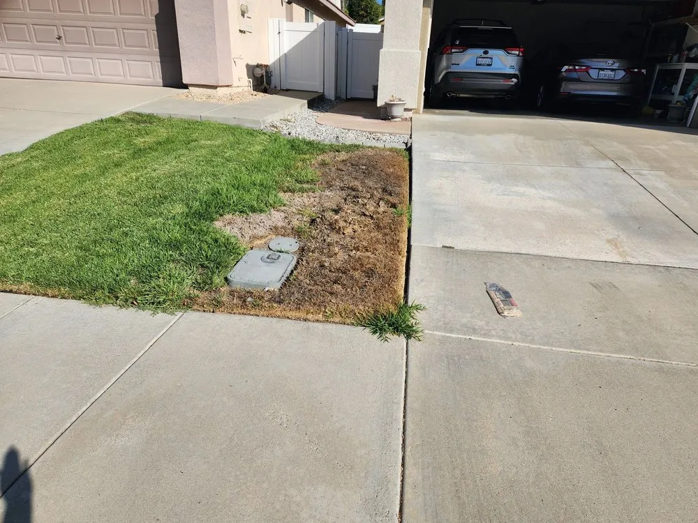 Affordable landscape installation in Torrance, CA by San Agustin Landscape